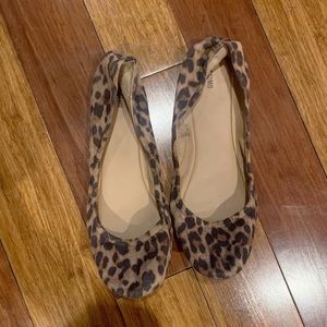 Leopard Ballet Flats